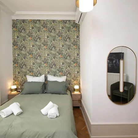 Appartement Le Lynx Haussmanien Confort, Climatisé Avec Parking Privé, à Deux Pas Du Centre Colmar