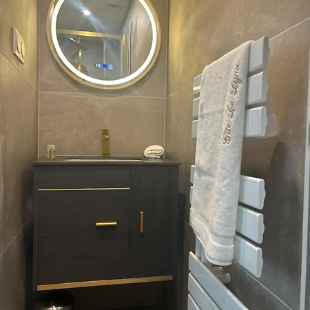 Le Lynx Haussmanien Confort, Climatisé Avec Parking Privé, à Deux Pas Du Centre *