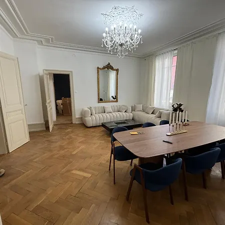 Le Lynx Haussmanien Confort, Climatisé Avec Parking Privé, à Deux Pas Du Centre Appartement Colmar