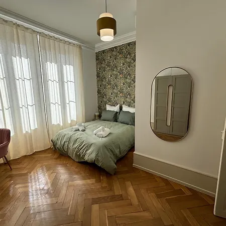 Le Lynx Haussmanien Confort, Climatisé Avec Parking Privé, à Deux Pas Du Centre Appartement Colmar