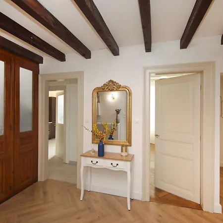 Le Lynx Haussmanien Confort, Climatisé Avec Parking Privé, à Deux Pas Du Centre Appartement Colmar