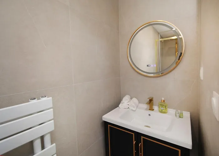 Le Lynx Haussmanien Confort, Climatise Avec Parking Prive, A Deux Pas Du Centre 公寓 科尔马