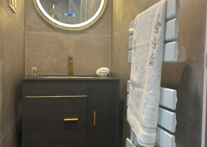 Le Lynx Haussmanien Confort, Climatise Avec Parking Prive, A Deux Pas Du Centre *