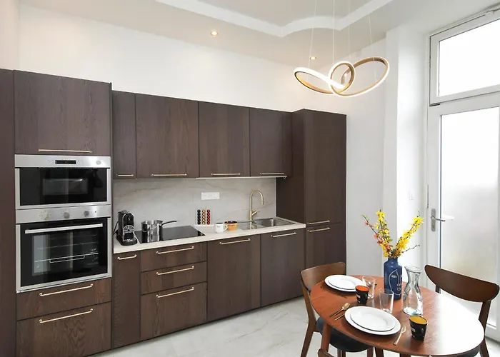 Le Lynx Haussmanien Confort, Climatise Avec Parking Prive, A Deux Pas Du Centre 科尔马