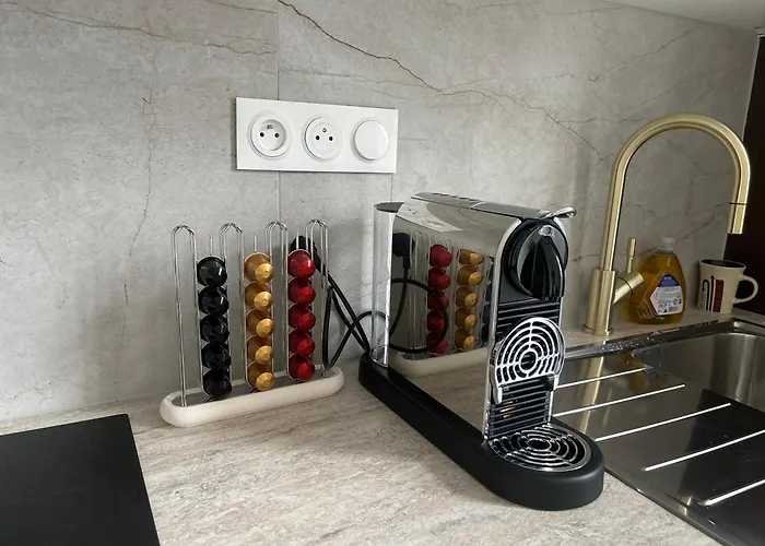 Le Lynx Haussmanien Confort, Climatise Avec Parking Prive, A Deux Pas Du Centre