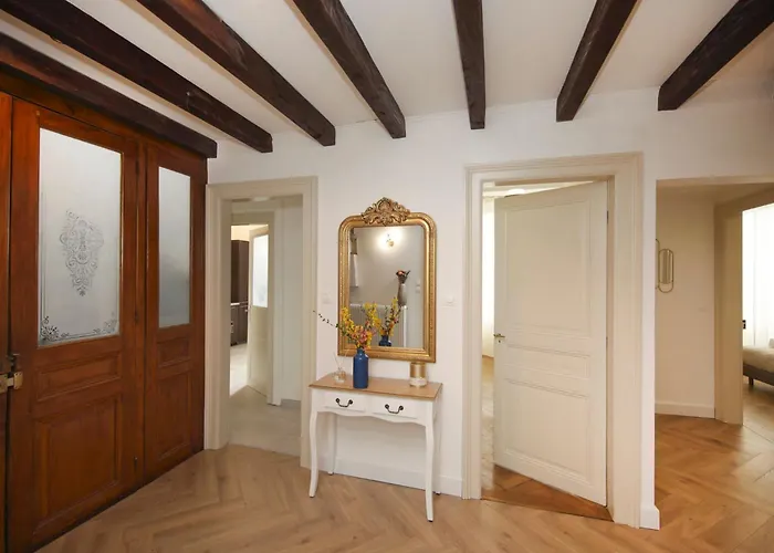 Le Lynx Haussmanien Confort, Climatise Avec Parking Prive, A Deux Pas Du Centre 公寓 科尔马